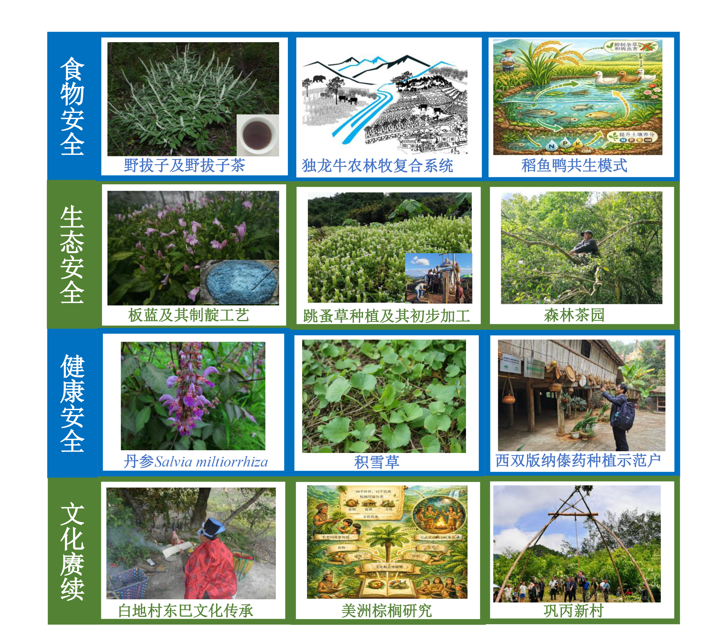 什么是民族植物学?——基于人类生存与可持续发展的学科重构