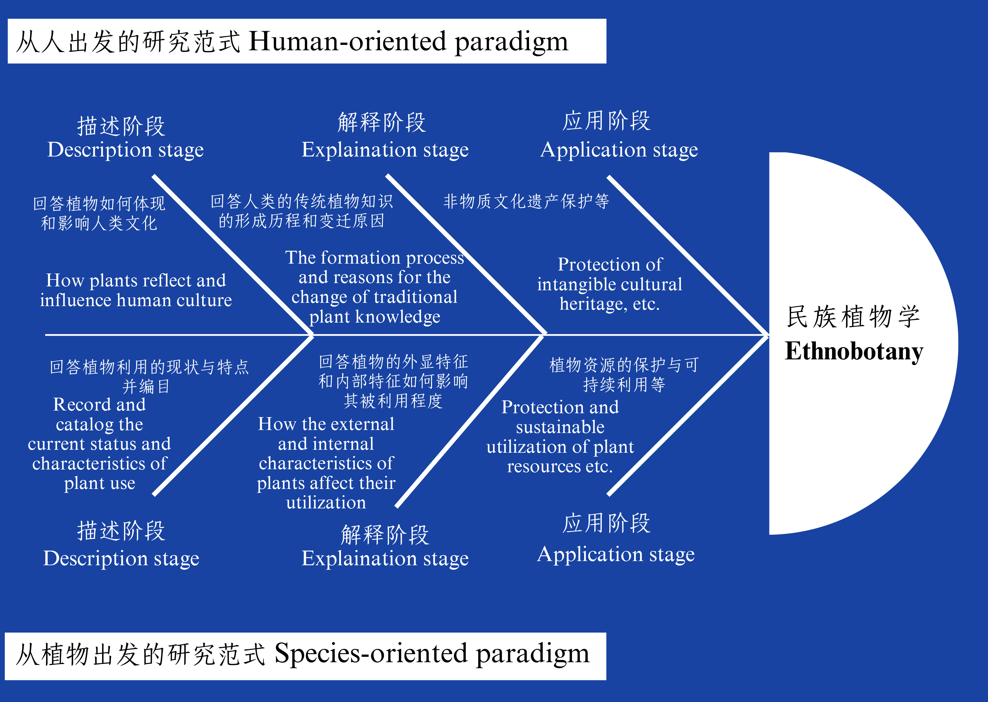 浅谈中国民族植物学的研究思路和理论假设
